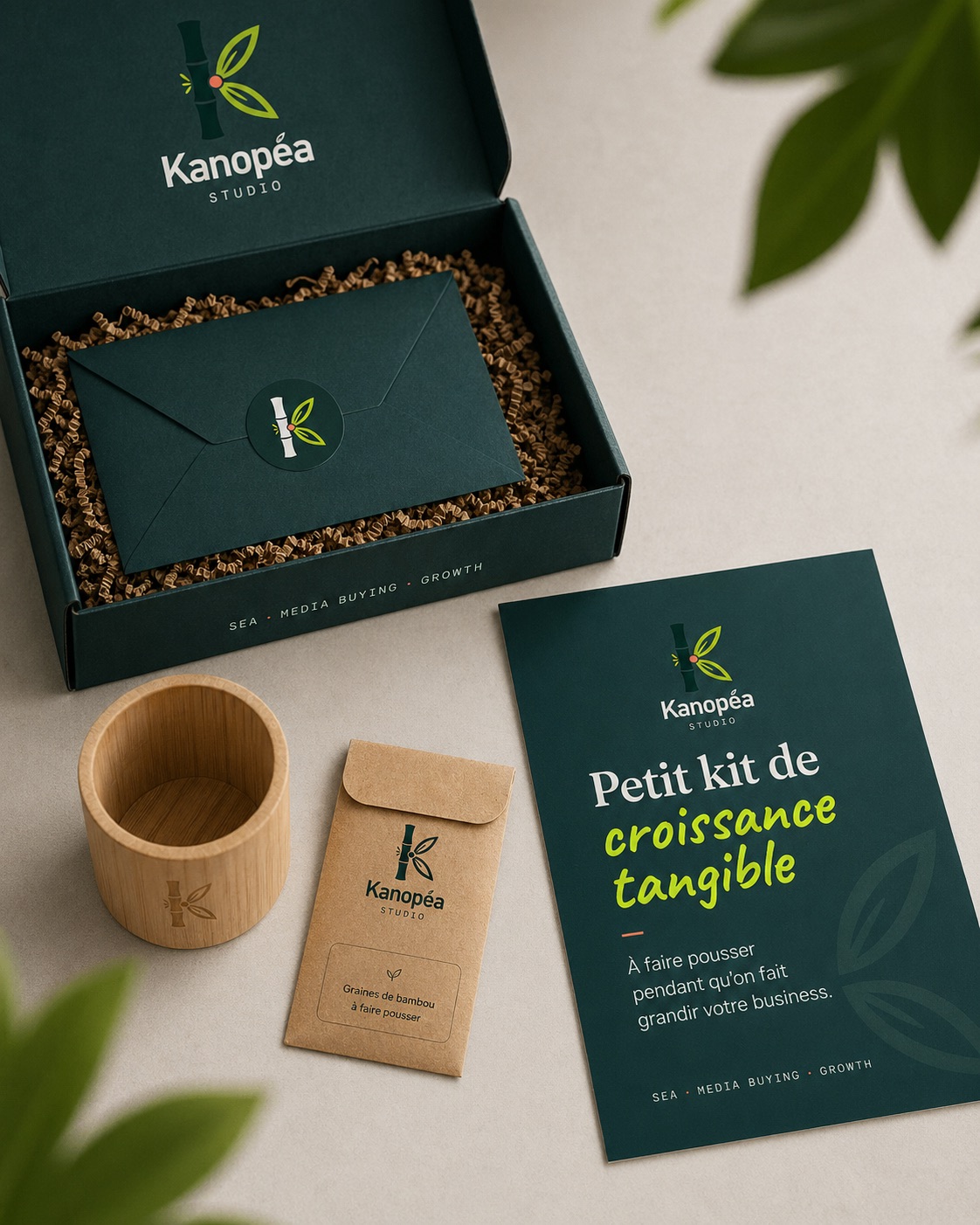 Box ouverte avec envelope + bamboo pot + sachet graines